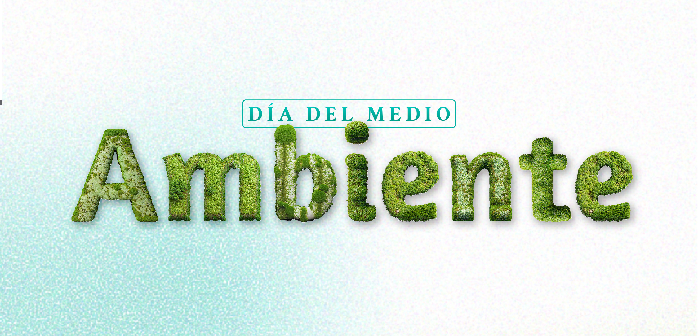 Dia del medio ambiente – Banner
