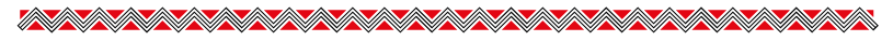 tiras