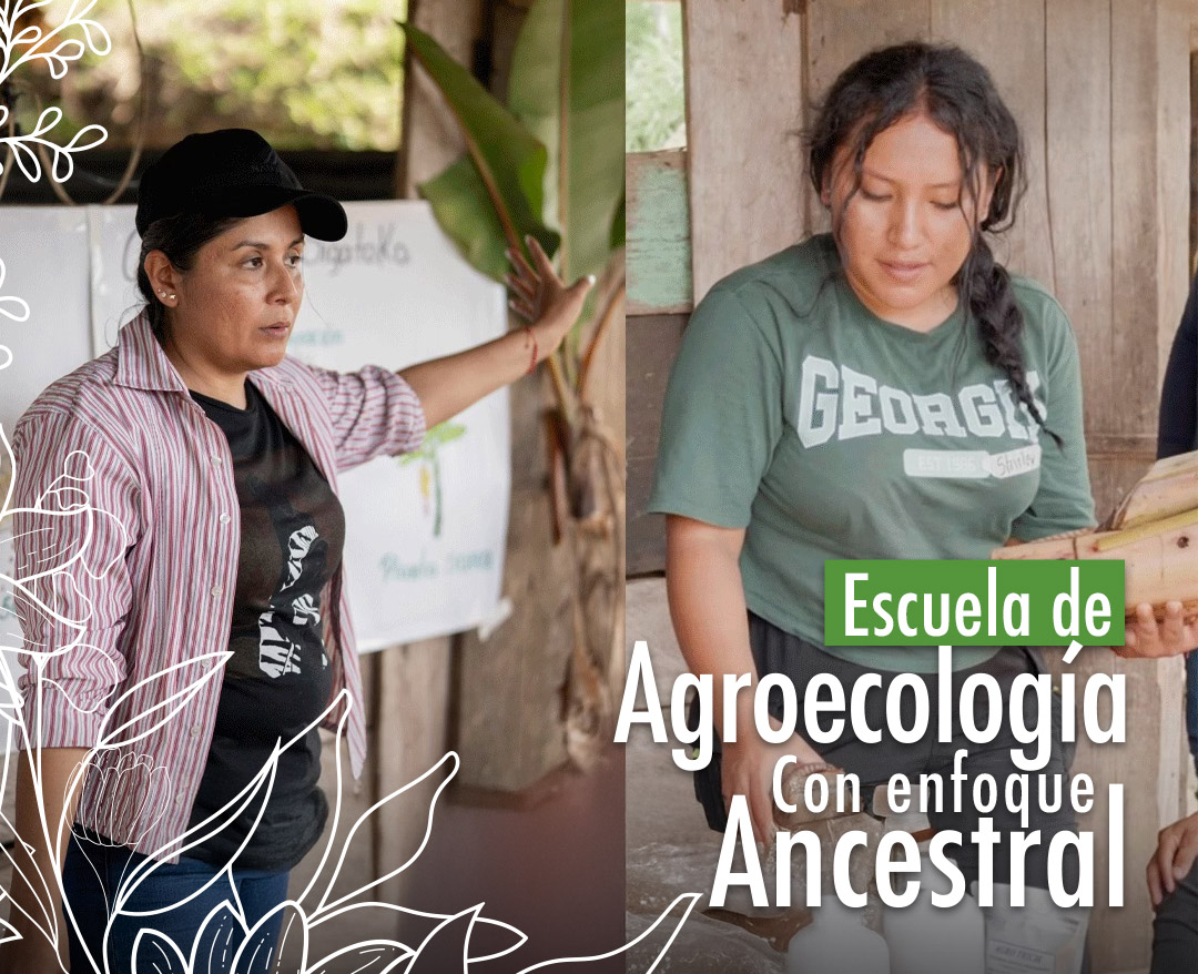 Escuela de agroecología con enfoque ancestral h