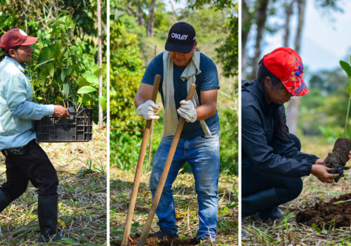 Restauracion para la Amazonía ecuatoriana 03