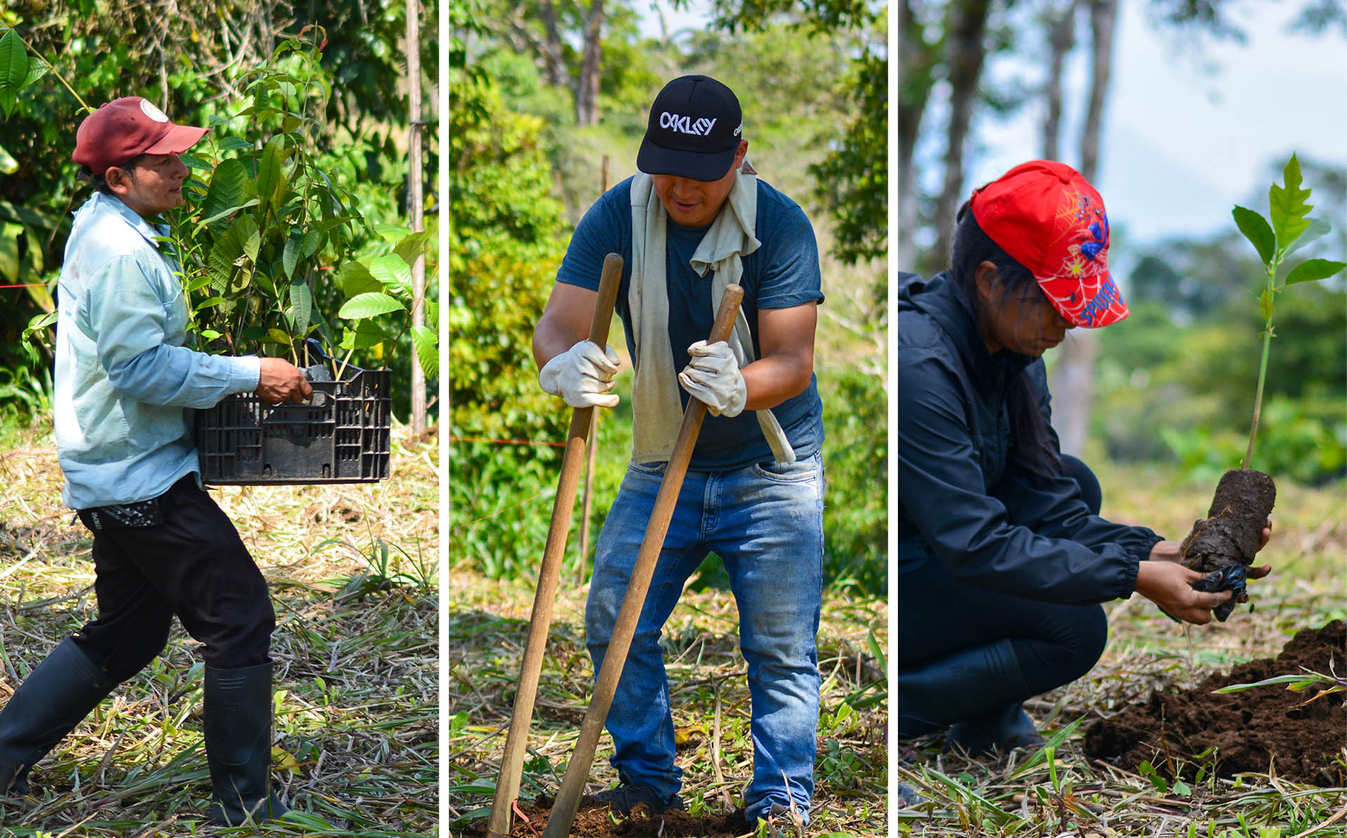Restauracion para la Amazonía ecuatoriana 03