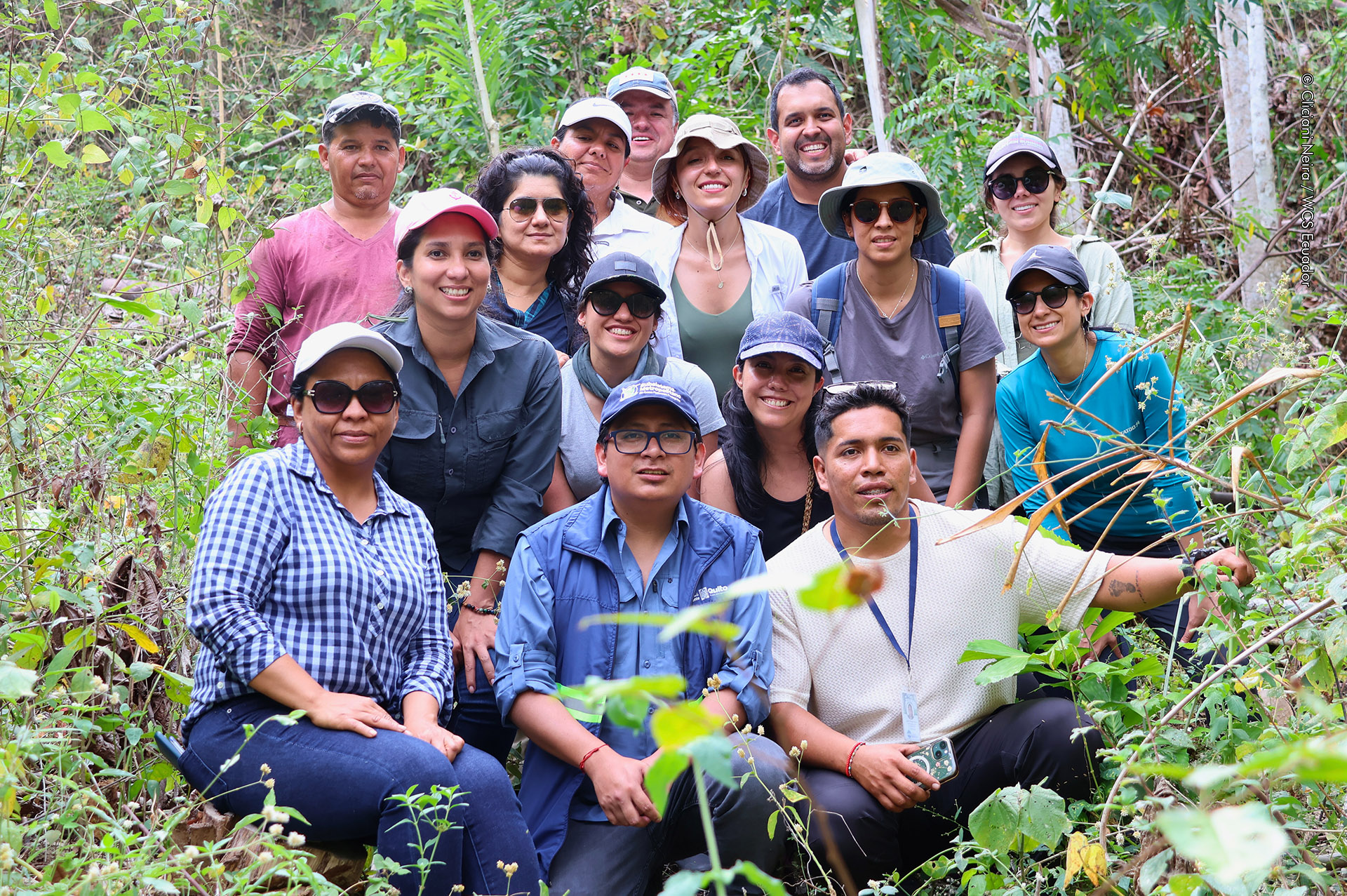 Uk PAct jama creditos – 1