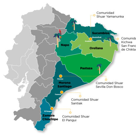 plan.vida.pueblos.nacionalidades.confeniae.proamazonia.bosques