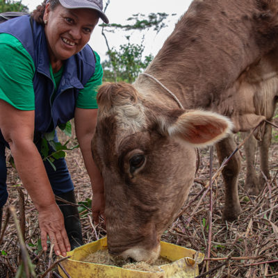 9.Dina.proamazonia.ganaderia.sostenible.produccion.ambiente.ecuador.bosque proamazonia. bosques. ecuador. ambiente.cambio. climatico. proteccion.